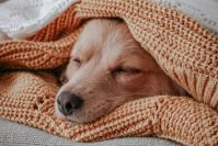 Duurzaam en efficiënt verwarmen: 9 tips