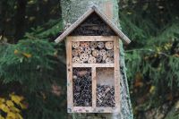 Tips voor een diervriendelijke tuin