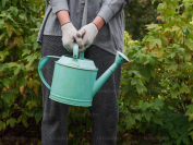 Slim water besparen in de tuin: zo blijft je tuin groen in droge periodes