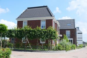 6 tips tegen hitte