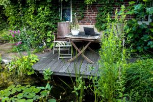 Een watervriendelijke tuin op 5 manieren