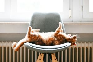 Slim omgaan met je thermostaat